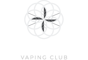 FLAVOR HIT - ECKBOLSHEIM (67) logo