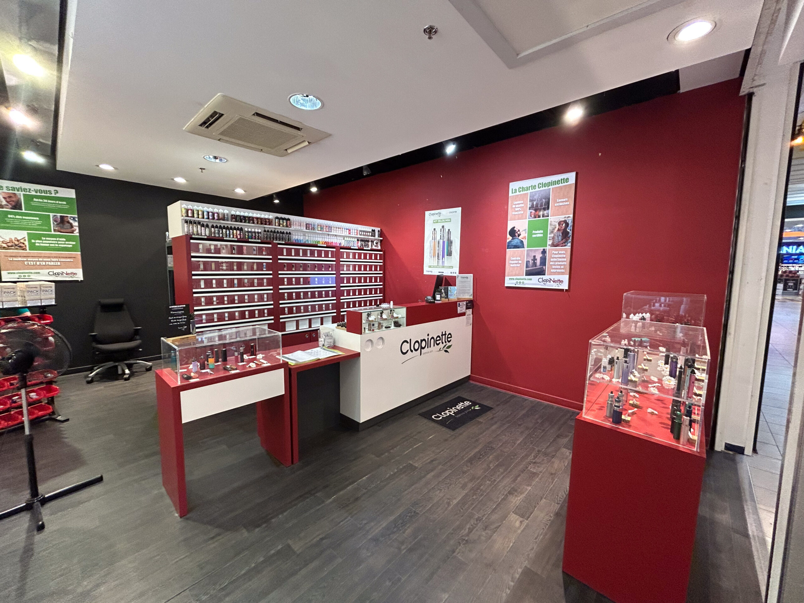 Image 1 de CLOPINETTE - CHOLET (49)